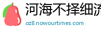 河海不择细流网